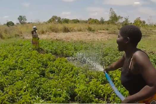 improving food security in africa
