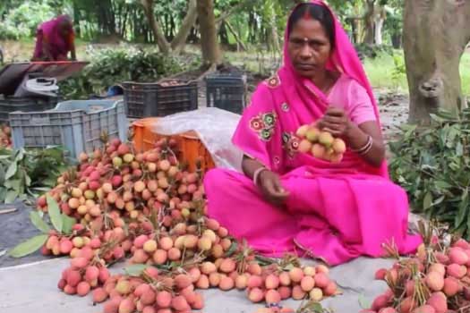 women with litchi